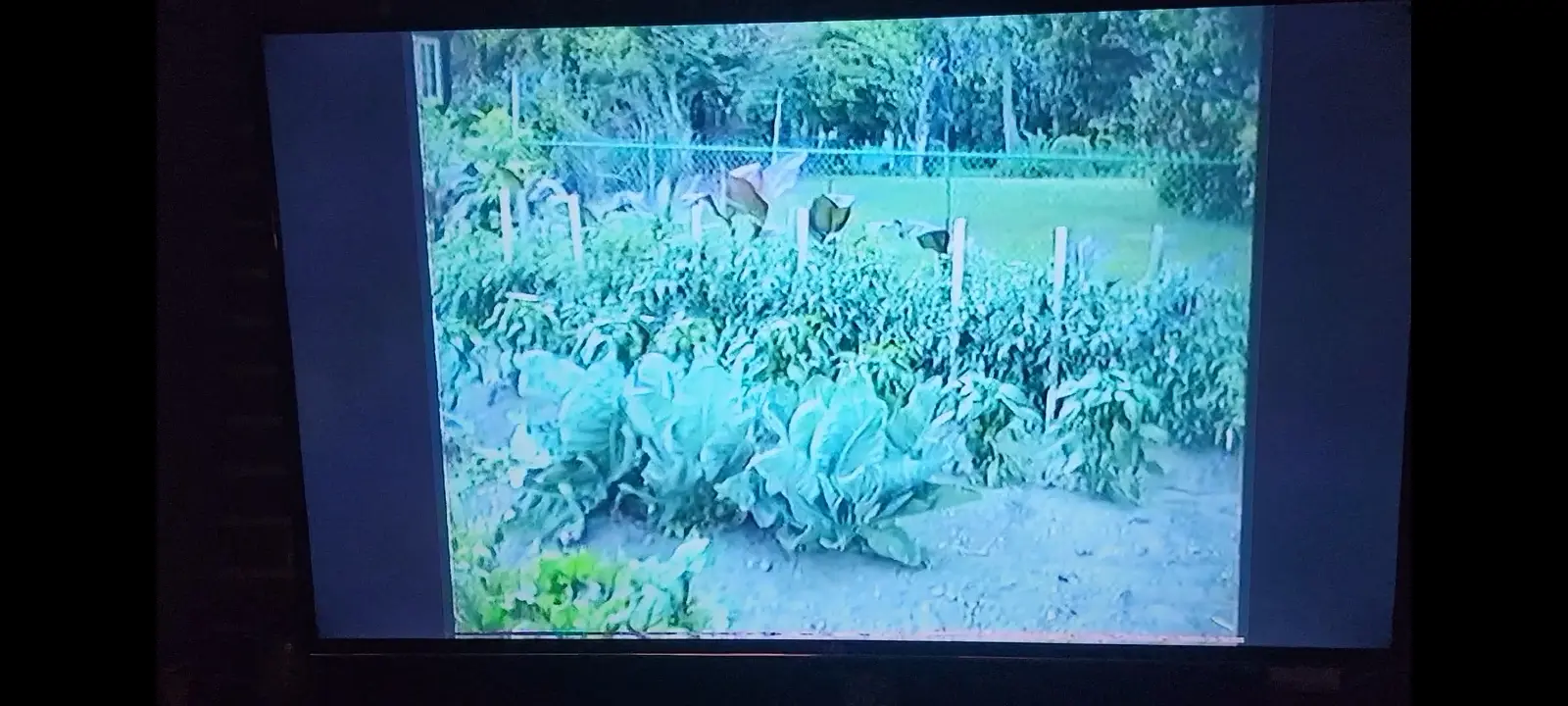 Image My Roots/Screenshot_20221106-160847_Gallery.webp